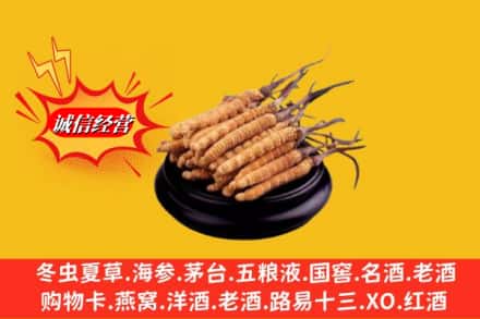 行唐县求购回收虫草多少钱每克